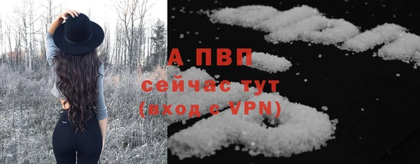 крисы Алексин
