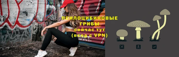 спиды Абаза