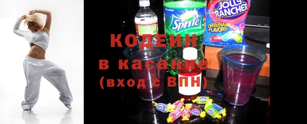молекула духа Пересвет