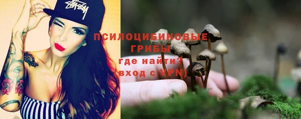 спиды Абаза