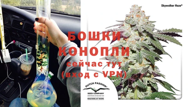 сатива Абдулино
