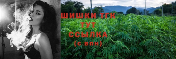молекула духа Пересвет