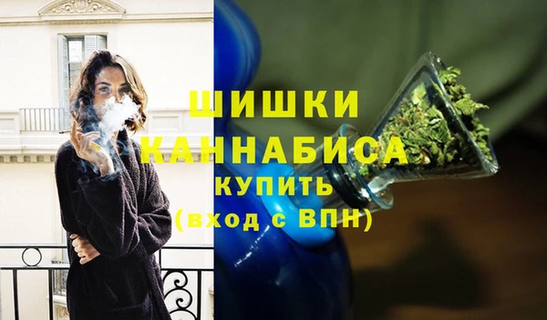 шишки Переславль-Залесский