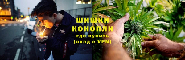 молекула духа Пересвет